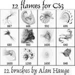 12 Flames for CS3